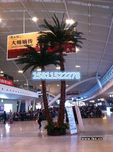 仿真树北京厂家定做仿真椰子树商场装饰树